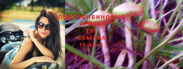 меф Бородино