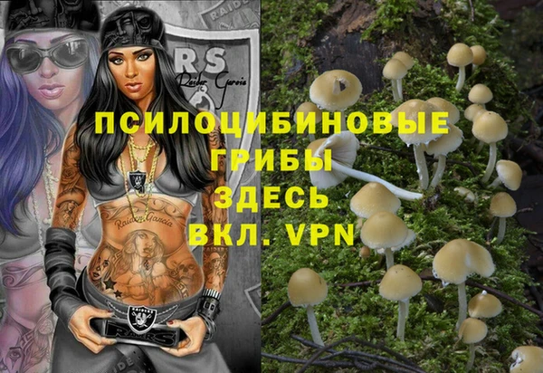 винт Бронницы