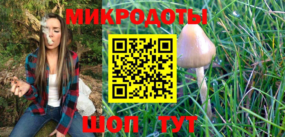 Медногорск  Псилоцибиновые грибы мицелий  Вход с VPN 